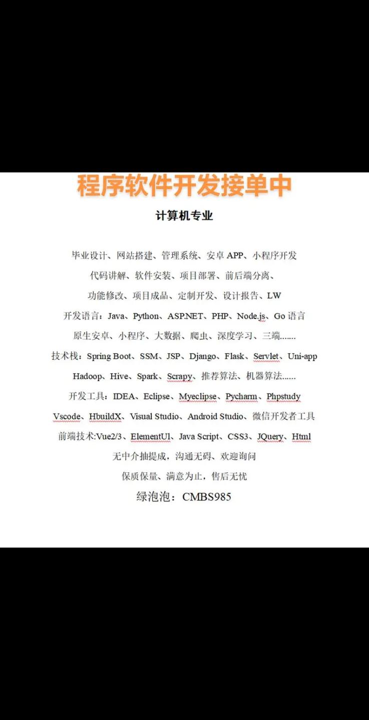 計(jì)算機(jī)畢業(yè)設(shè)計(jì)項(xiàng)目 從代碼到軟件的完整開發(fā)指南